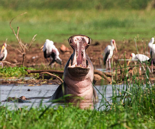 3 Days Tarangire National Park,Ngorongoro Crater and Lake Manyara