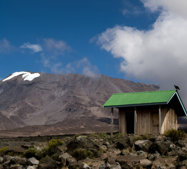 5 Days Mount Kilimanjaro Trekk via Marangu Route